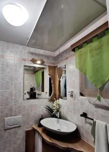 un bagno con un lavandino e un grande specchio di Cosy Retreat Čatež a Čatež ob Savi