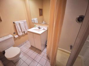 Koupelna v ubytování Motel Tremblant