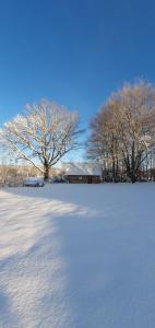 un campo cubierto de nieve con árboles en el fondo en Comfy Guest House in Countryside, en Lövestad