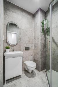 W łazience znajduje się toaleta, umywalka i lustro. w obiekcie Hann Harmony Apartments Koszyka 45 w mieście Opole