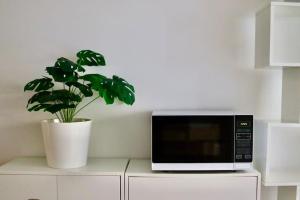 a plant in a white pot next to a microwave at Apartment in Ferney close to Geneva United Nations in Ferney-Voltaire