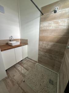 a bathroom with a shower and a sink at Villa SALINA in Trois-Rivières