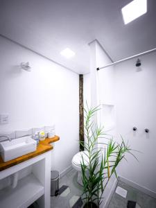 a white bathroom with a toilet and a sink at Flats Apple Ilha com Banheira in Abraão