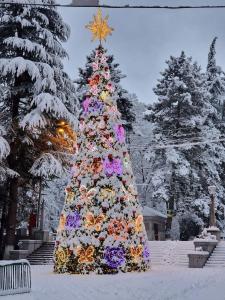 a christmas tree is covered in snow at Borjomi Home in Borjomi
