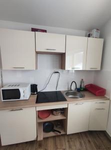 a small kitchen with a sink and a microwave at Guest House Mandrivnyi Rooms&Apartments in Yasinya