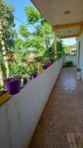 Taman di luar Hotel Los Chow Chow