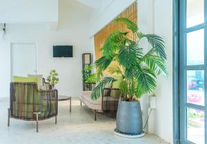 a living room with a plant in a large pot at Seabreaze Garden in Saipan