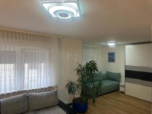 ein Wohnzimmer mit einem Sofa und einer Pflanze in der Unterkunft Ferienhaus Formidable in Nidderau