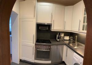 Kuchyň nebo kuchyňský kout v ubytování Wohnung 5 mit Garten und sonniger Terrasse