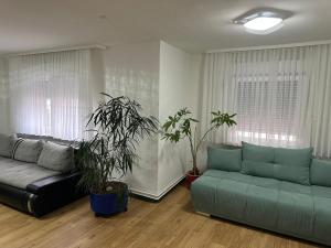 a living room with a couch and two potted plants at Ferienhaus Formidable in Nidderau