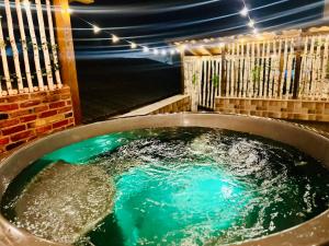a bath tub filled with green water in a room at Carpe Diem in Bran