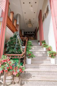 un conjunto de escaleras con macetas. en Triệu Vũ Hotel & Apartment, en Buon Ma Thuot