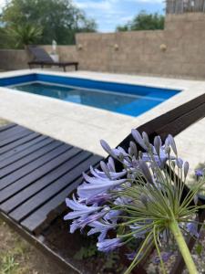 una flor púrpura sentada junto a una piscina en lahabanadepartamento en Villa Carlos Paz