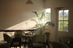 un comedor con mesa, sillas y una planta en Hotel Broadway Udaipur, en Udaipur