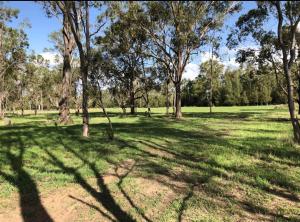 a grassy field with trees and shadows on it at Thagoona Shady River Camp in Thagoona