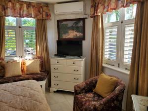 TV a/nebo společenská místnost v ubytování Sandcastles Resort, Ocho Rios