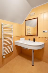 a bathroom with a sink and a mirror at Krynica Apartamenty Apartament typu studio Deptak in Krynica Zdrój