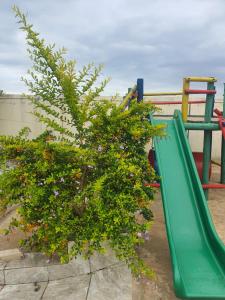 a plant on a slide at a playground at Mpucuko Guest House in Mtubatuba