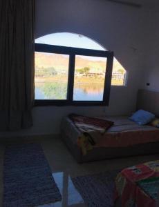 Shipa's nubian house في أسوان: غرفة مع نافذة وسرير في غرفة
