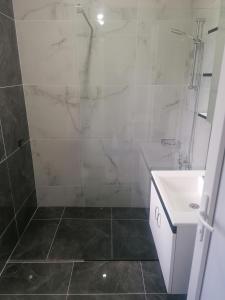 y baño con ducha y lavamanos. en Pelister Riverside Villa, en Bitola