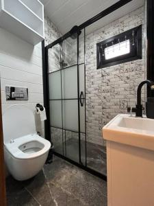 Kúpeľňa v ubytovaní DOA Sapanca Tiny House