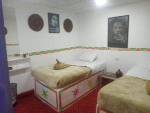 peace garden hostel & camp في الأقصر: غرفة بسريرين مع كلب ملقى على السرير