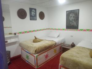 Tempat tidur dalam kamar di peace garden hostel & camp