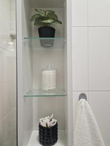 uma casa de banho com prateleiras de vidro e um vaso de plantas em Veludo Apartments Centrum free parking em Banská Bystrica