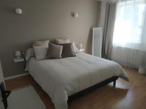 1 dormitorio con 1 cama grande con almohadas y ventana en GRAND APPARTEMENT COSY DANS MAISON DE CAMPAGNE, en Saint-Pierre