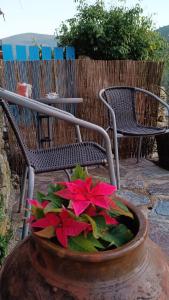 a vase with red flowers in it next to a chair at Casa do Freire - Serra da Estrela in Aguincho
