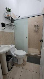 een badkamer met een toilet, een wastafel en een douche bij Vivienda familiar in San Miguel