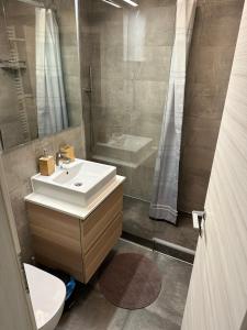 La salle de bains est pourvue d'un lavabo, d'une douche et de toilettes. dans l'établissement BovecEnter Apartments Kaninska vas, à Bovec