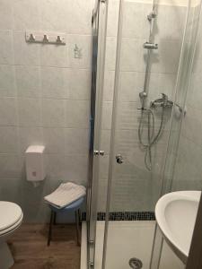 a bathroom with a shower and a toilet and a sink at Albergo La Grolla in Antey-Saint-André