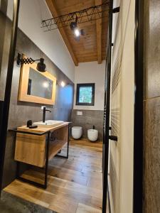 uma casa de banho com um lavatório e 2 WC em GiardinidiEva Loft em Gorizia