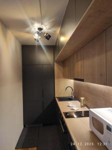 a kitchen with a sink and a microwave at Azer in Sarajevo