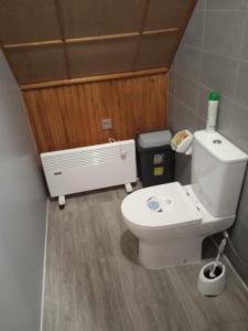 a bathroom with a white toilet in a room at Sodyba Skardupiai in Vidgiriai