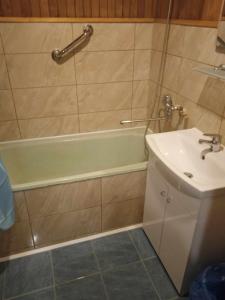 a bathroom with a tub and a sink and a shower at Sodyba Skardupiai in Vidgiriai