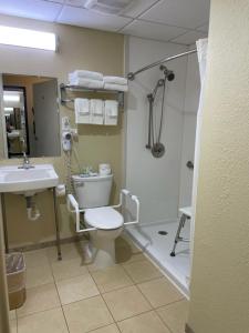 a bathroom with a toilet and a shower and a sink at Quality Inn & Suites in Morgantown