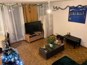 un salon avec une télévision et un arbre de Noël dans l'établissement Petit bel air, à Chêne-Bourg
