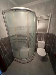 a bathroom with a shower with a toilet in it at Lux sea view willas in Istanbul