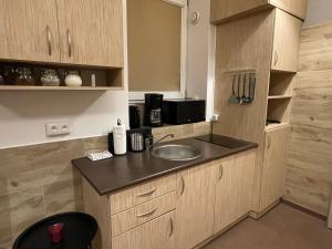 a small kitchen with a sink and a counter at Przystanek Karpacz - Apartament Roma in Karpacz