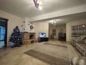 ein Wohnzimmer mit einem Weihnachtsbaum und einem TV in der Unterkunft Vila ,Квартира на земле с террасой in Chişinău