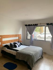 Un dormitorio con una cama grande y una ventana en Palmeras Departamentos en Santa Teresita