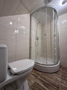 uma casa de banho com um chuveiro e um WC. em ЛемГора em Vorokhta