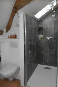 a bathroom with a shower and a toilet at Loft dans le clocher face au chateau in Bonnelles
