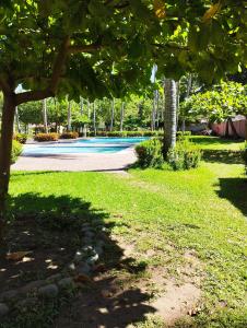 a park with a swimming pool with a tree at Casa Jaragua in Barra de Santiago