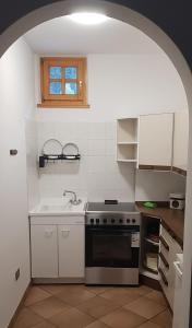 a kitchen with a stove and a sink at VILLA TERESA in San Lugano