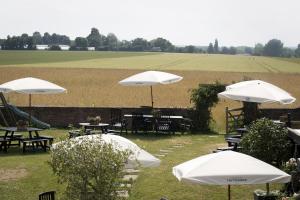 Fotografie z fotogalerie ubytování The Duke William v destinaci Canterbury