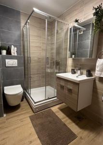 Koupelna v ubytování Apartman Aspen Divcibare