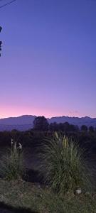 a sunset over a field with mountains in the background at La Viñita Wine Lodge in San Carlos